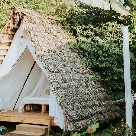 Mambo Arusha Hostel Zewnętrze zdjęcie